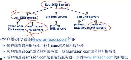 计算机网络之网络应用 DNS应用